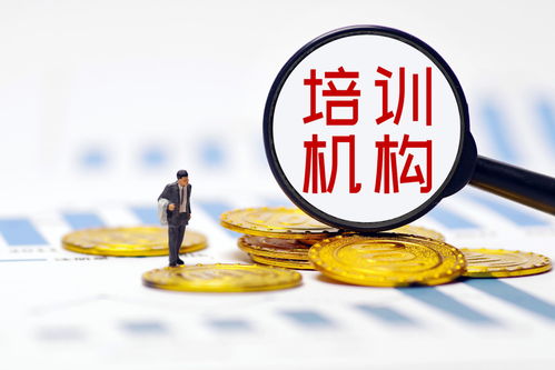 雙減政策落地重塑行業(yè)生態(tài)，培訓(xùn)機(jī)構(gòu)探尋轉(zhuǎn)型之路——多家A股上市公司發(fā)文回應(yīng)，公共就業(yè)服務(wù)或迎新機(jī)遇