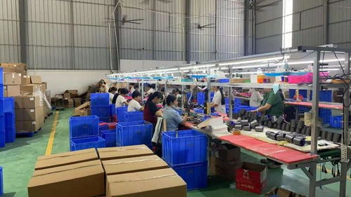 點(diǎn)贊！化州這個(gè)鎮(zhèn)“微工廠”遍地開(kāi)花，留守婦女掙錢顧家兩不誤