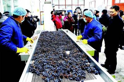 [吉農(nóng)&middot;產(chǎn)業(yè)] 集安舉辦&ldquo;通化山葡萄酒產(chǎn)區(qū)高峰論壇&rdquo;,中國(guó)酒莊旅游聯(lián)盟成立!