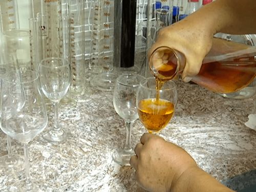 新站林場茂興營林股 發展林下經濟 走生態致富路