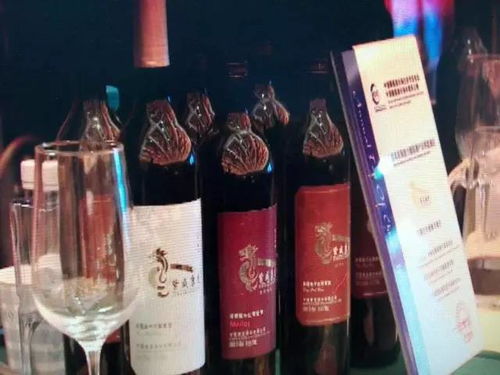 青銅峽葡萄酒 目標年產值200億元，讓世界為之傾倒的東方佳釀